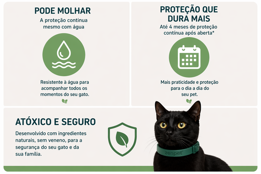 Coleira Natural para Gatos com Neem e Erva Santa Maria – Proteção e Cuidado Diário 2