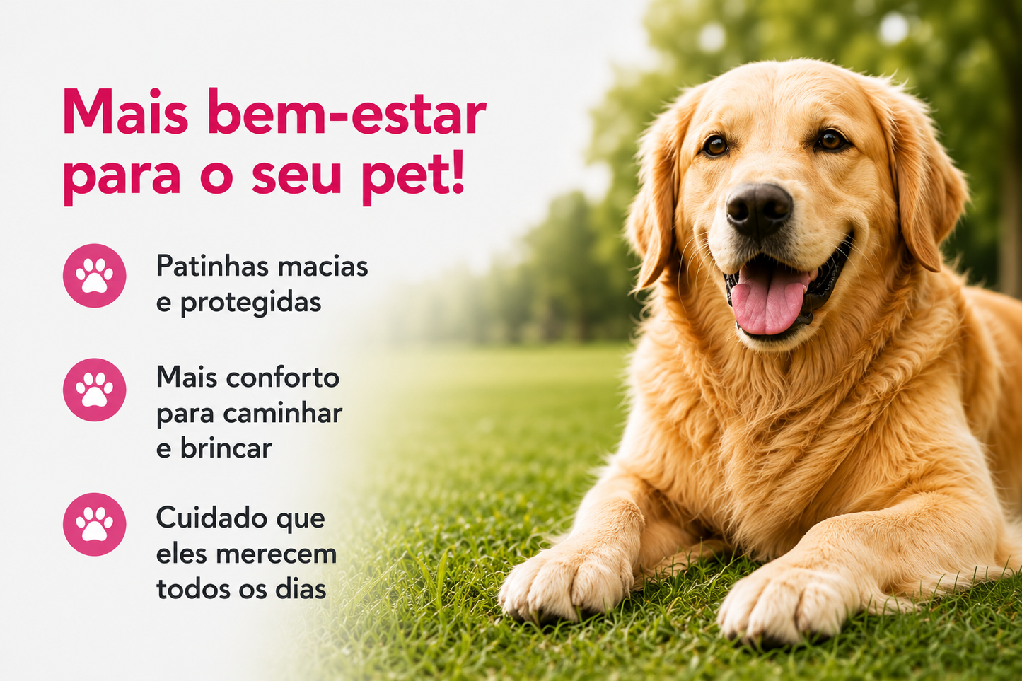 Paw Balm Vetfleur 24g – Bálsamo Natural Hidratante para Patinhas Pet 3